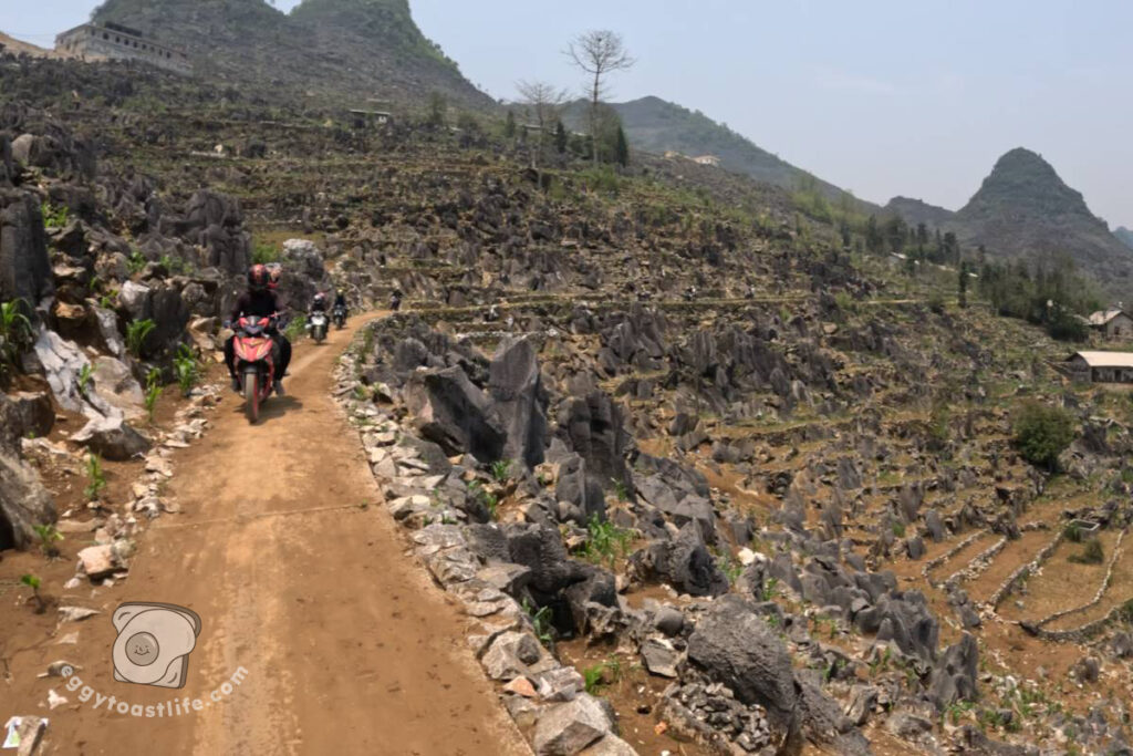 trecherous roads
