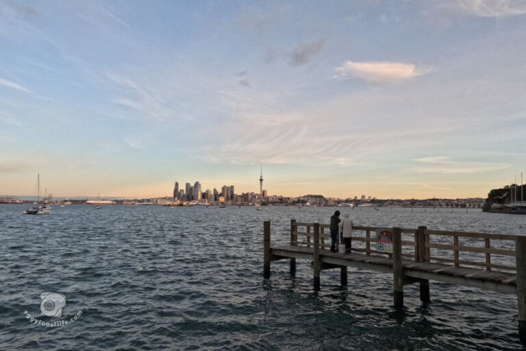 auckland skyline