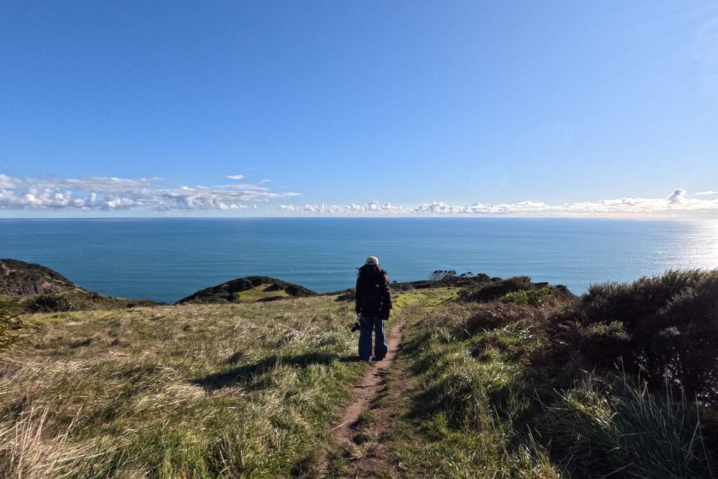 nz working holiday visa for singaporeans