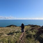 nz working holiday visa for singaporeans