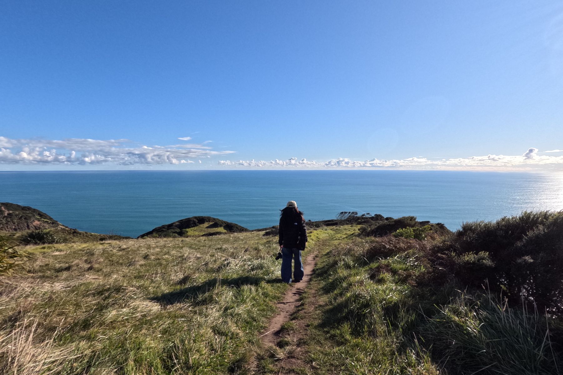 nz working holiday visa for singaporeans